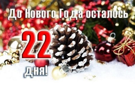До нового года осталось 22 дня