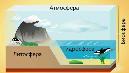Биосфера это в экологии