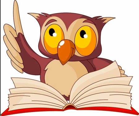 Сова с книгой