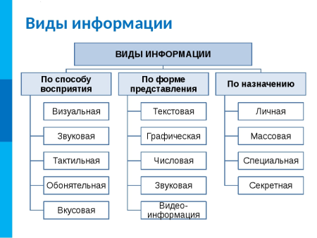 Информация виды и свойства информации Информатика