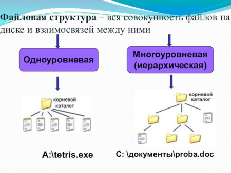 Файлы и файловые структуры 7 класс