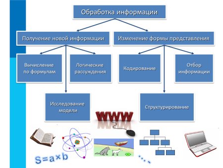 Схема типы обработки информации