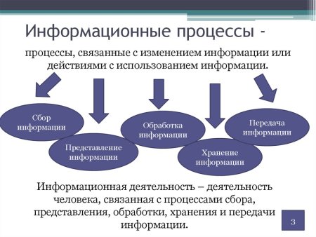 Перечислите информационные процессы Информатика 7 класс