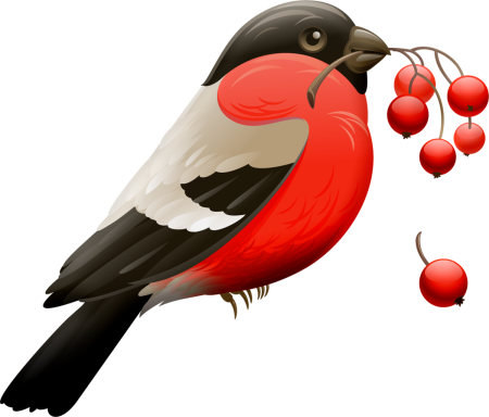 Снегирь на белом фоне для детей