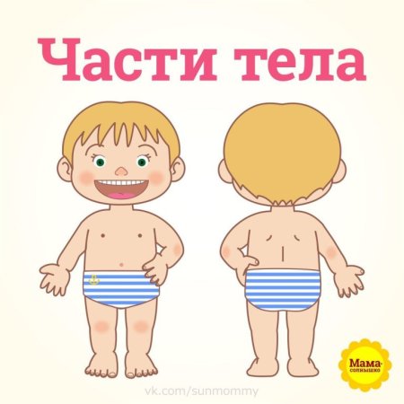 Части тела человека для детского сада