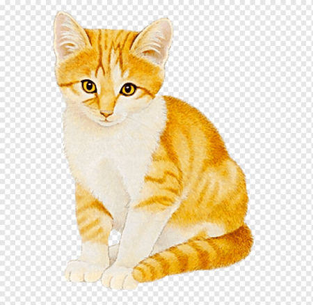 Кошка для дошкольников