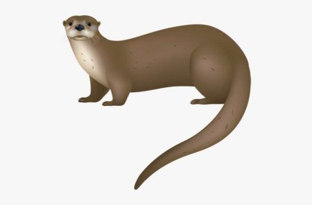 Калан мультяшный