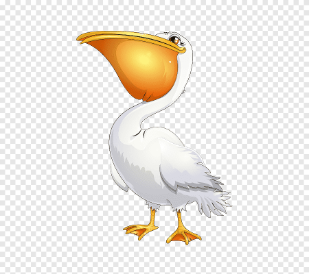 Пеликан клипарт