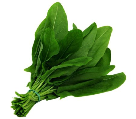 Щавель на белом фоне