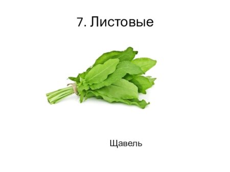 Щавель мультяшный