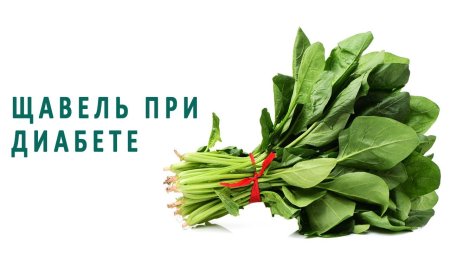 Щавель при диабете 2