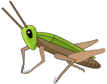 Сверчок для детей