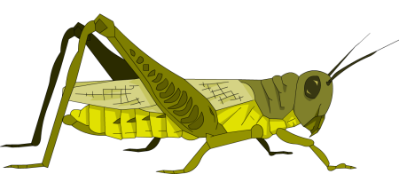 Кузнечик иконка