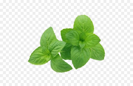 Mentha piperita (Peppermint) Leaf extract
