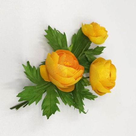 Купальница Италмас