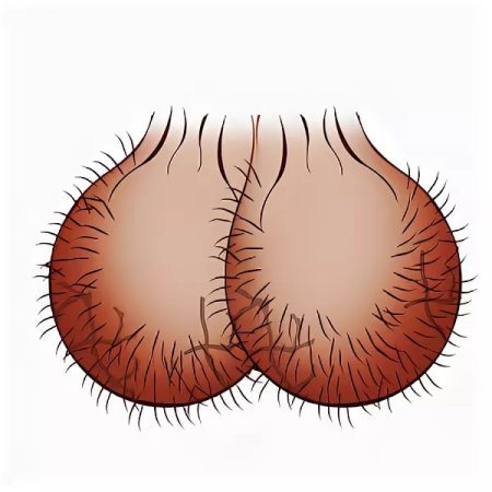 Яички мужские мультяшные