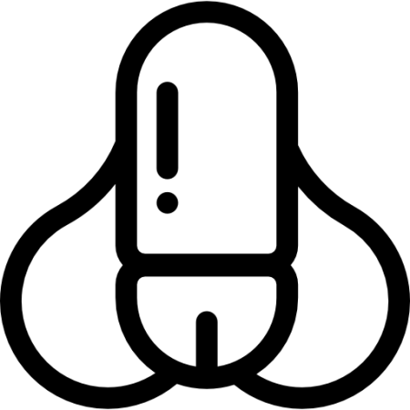 Член вектор