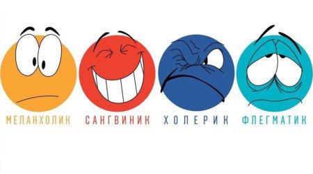 Темперамент картинки