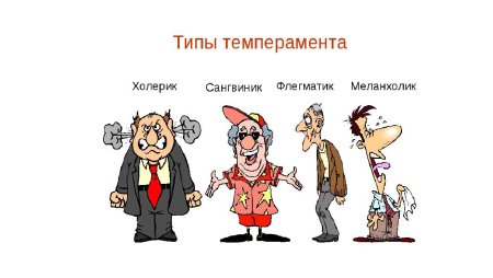 Темперамент рисунок