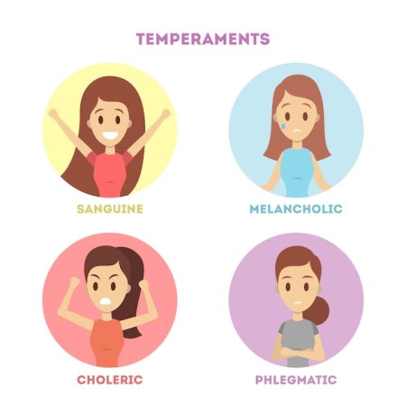 Sanguine Choleric Phlegmatic melancholic