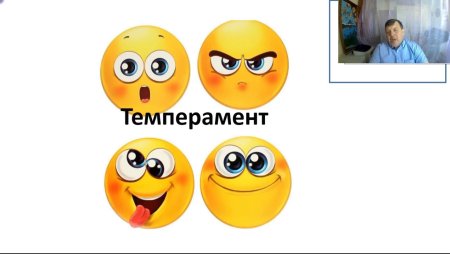 Темперамент смайлики