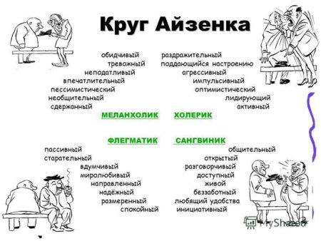 Тип личности холерик флегматик