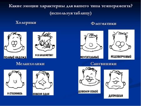 Типы личности флегматик сангвиник