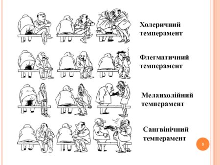 Изображения темпераментов