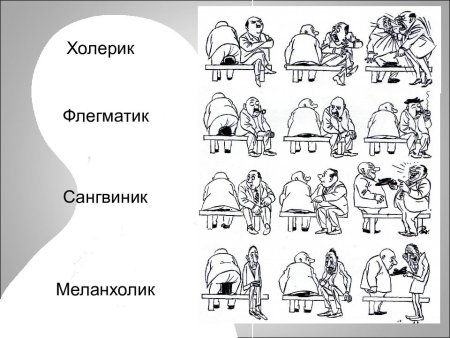 Типы личности флегматик сангвиник