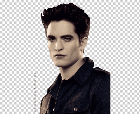 Сумерки Twilight надпись