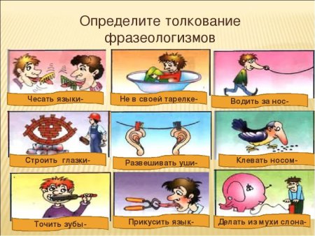 Фразеологизмы рисунки