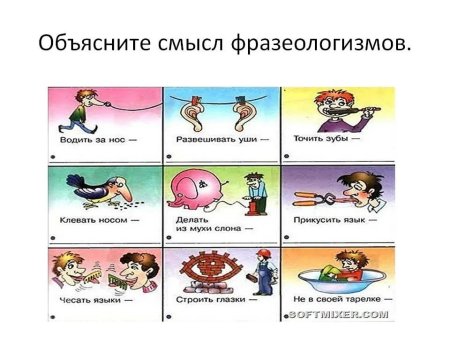 Шутливые фразеологизмы в картинках