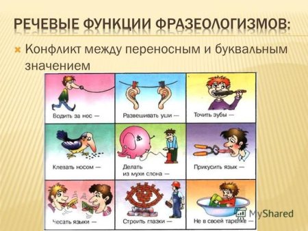 Фразеологизмы по картинкам