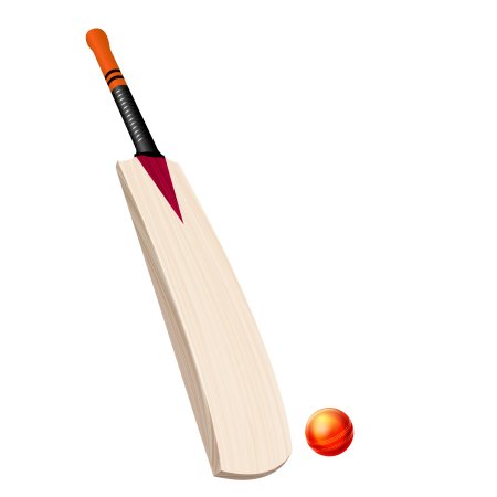 Cricket bat