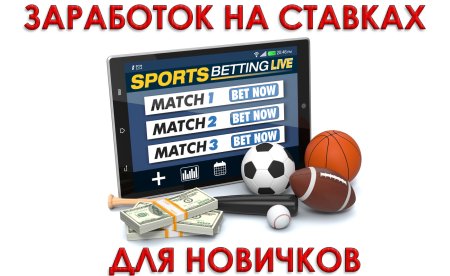 Заработок на спортивных ставках