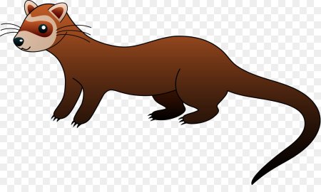 Хорек мультяшный