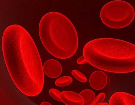 Anemia Europe