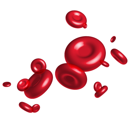 Blood Cells эритроциты