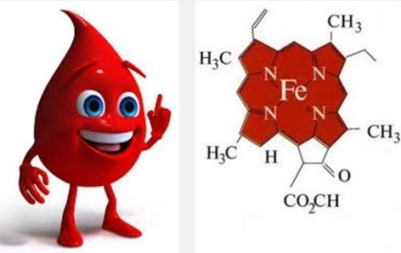 Hemolytic anemia causes