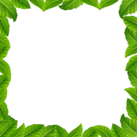 Рамка из листьев
