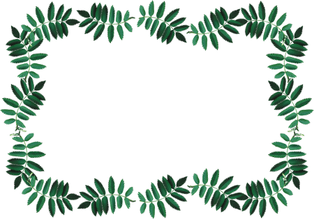 Рамка из листьев