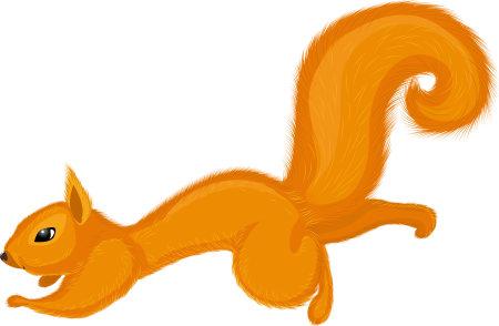 Белка рисунок на прозрачном фоне