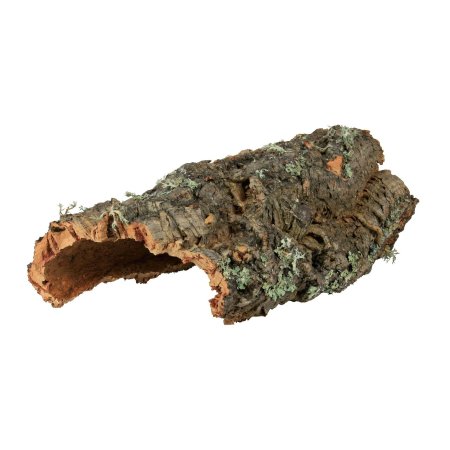 Кусок коры дерева