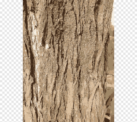 Кора s1