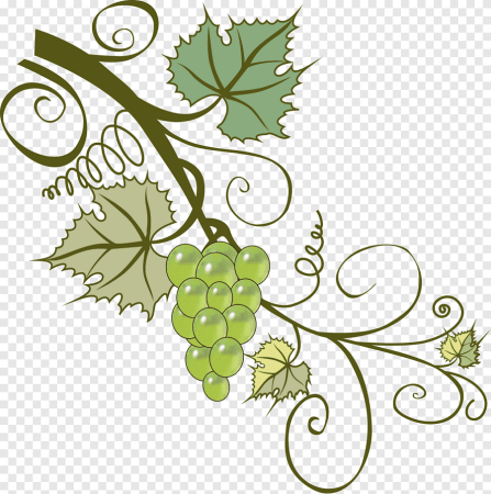 Виноградные листья клипарт (47 фото)