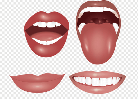 Губы зубы язык