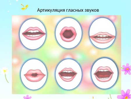 Артикуляция гласных звуков