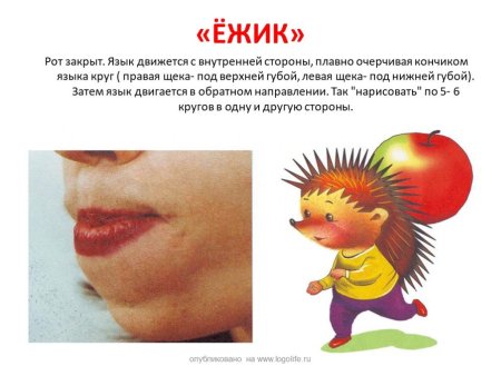 Упражнения для губ артикуляционная гимнастика для детей