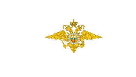 Министерство внутренних дел РФ флаг