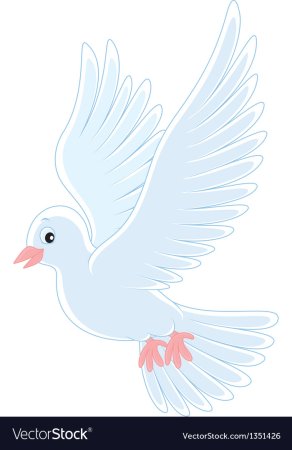 Голубь клюет